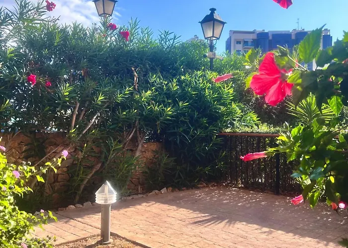 公寓 Torrevieja 200m From Sea Punta Prima 阿利坎特